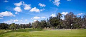 Penina Academy Course fairway trees