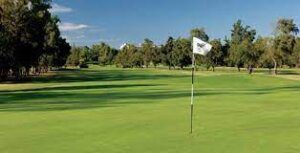 Penina Academy Course green and pin