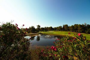 Alto Golf Course - lake
