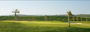 Amendoeira O'Connor Junior Golf Course fairway & Orange Groves