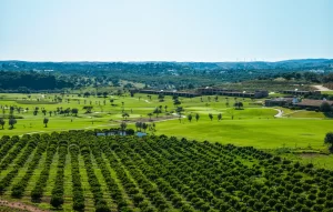 Morgado Golf Course Scenery
