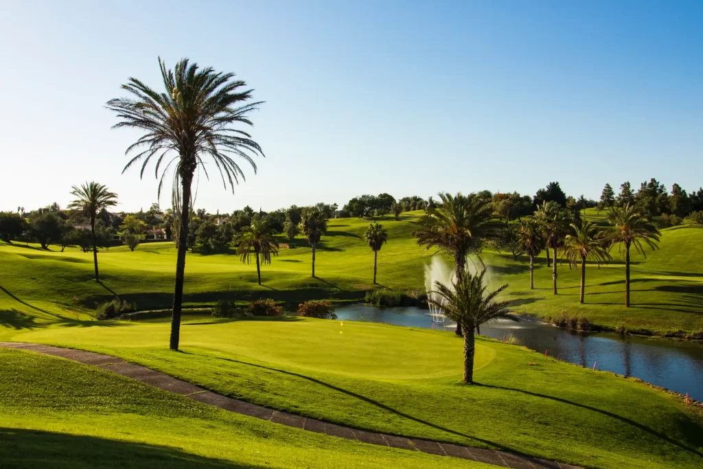 pestana_gramacho_golf_course_green_elevated_web_ready-scaled.webp
