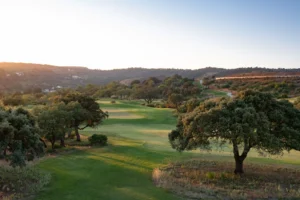 Ombria Golf Course - Fairway and Trees
