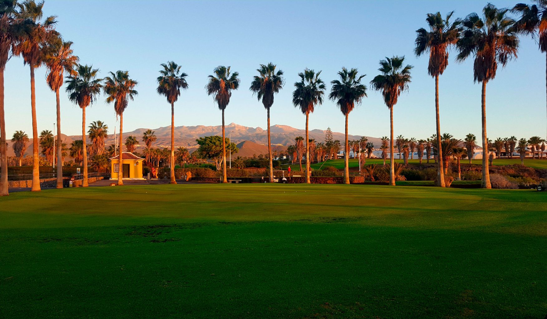 Golf del Sur Links Green Fees, Tee times & Full Course Review